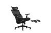 Picture of FLEXO Pro Height Adjustable Mesh Office Chair with 5D Armrests, Lumbar Support (Dark)