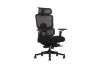 Picture of FLEXO Pro Height Adjustable Mesh Office Chair with 5D Armrests, Lumbar Support (Dark)