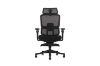 Picture of FLEXO Pro Height Adjustable Mesh Office Chair with Adjustable Headrest & Backrest, 5D Armrest and Seat Slider (Dark)