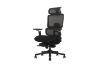 Picture of FLEXO Pro Height Adjustable Mesh Office Chair with 5D Armrests, Lumbar Support (Dark)