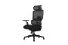 Picture of FLEXO Pro Height Adjustable Mesh Office Chair with Footrest (Dark)