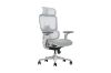 Picture of FLEXO Pro Height Adjustable Mesh Office Chair with Adjustable Headrest & Backrest, 5D Armrests and Seat Slider (Grey)