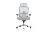 Picture of FLEXO Pro Height Adjustable Mesh Office Chair with Adjustable Headrest & Backrest, 5D Armrest and Seat Slider (Grey)