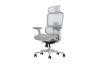 Picture of FLEXO Pro Height Adjustable Mesh Office Chair with 5D Armrests, Lumbar Support (Grey)