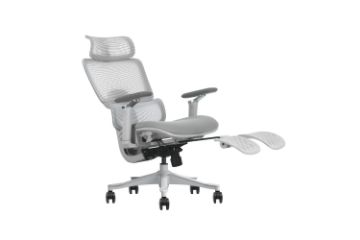 Picture of FLEXO Pro Height Adjustable Mesh Office Chair (Grey)