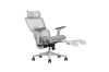 Picture of FLEXO Pro Height Adjustable Mesh Office Chair with Adjustable Headrest & Backrest, 5D Armrest and Seat Slider (Grey)