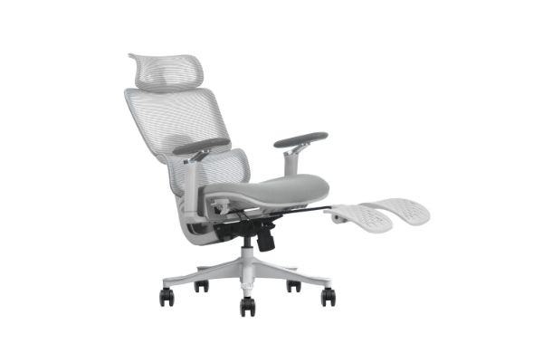Picture of FLEXO Pro Height Adjustable Mesh Office Chair with Adjustable Headrest & Backrest, 5D Armrests and Seat Slider (Grey)