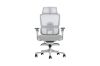 Picture of FLEXO Pro Height Adjustable Mesh Office Chair with Adjustable Headrest & Backrest, 5D Armrests and Seat Slider (Grey)