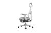 Picture of FLEXO Pro Height Adjustable Mesh Office Chair with 5D Armrests, Lumbar Support (Grey)