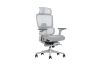 Picture of FLEXO Pro Height Adjustable Mesh Office Chair with Adjustable Headrest & Backrest, 5D Armrest and Seat Slider (Grey)
