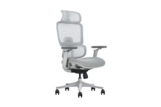 Picture of FLEXO Pro Height Adjustable Mesh Office Chair with 5D Armrests, Lumbar Support (Grey)