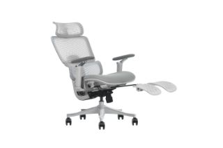 Picture of FLEXO Pro Height Adjustable Mesh Office Chair with 5D Armrests, Lumbar Support & Footrest (Grey)