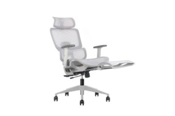 Picture of FLEXO Height Adjustable Mesh Seat Office Chair with Adjustable Headrest & Backrest, Seat Slider (Grey)