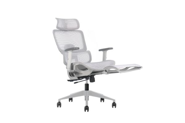 Picture of FLEXO Height Adjustable Mesh Seat Office Chair with Lumbar Support (Grey)
