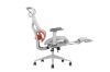 Picture of NEXEN Pro High Back Office Chair with 3D Armrests, Lumbar Support & Seat Slider