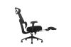 Picture of FLEXO Height Adjustable Mesh Office Chair with Lumbar Support (Dark)