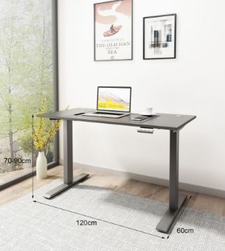 Picture of  [FLOOR MODEL CLEARANCE] UP1 120 TWIN MOTOR Electric Height Adjustable Standing Desk (Black)