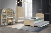 Picture of  [FLOOR MODEL CLEARANCE] RYDEN Single Trundle Bed