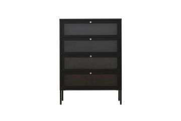Picture of [FLOOR MODEL CLEARANCE]  STARK Steel Frame 4-Door Transparent Glass Shoe Cabinet (Black)