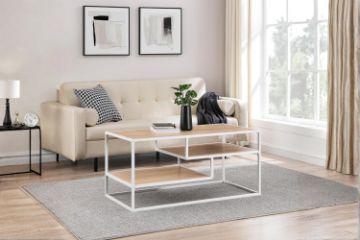 Picture of [FLOOR MODEL CLEARANCE] ADAM Coffee Table (101.5 x 51cm)