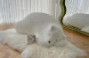 Picture of NAPPER Sleeping Bear Lazy Sofa/Floor Lounge Chair