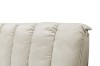 Picture of  [FLOOR MODEL CLEARANCE]  ALANYA Queen Size Bed Frame (Champagne)
