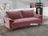 Picture of   [FLOOR MODEL CLEARANCE] Faversham 2 Seat Sofa *Rose Velvet