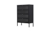 Picture of  [FLOOR MODEL CLEARANCE] STARK Steel Frame 4-Door Transparent Glass Shoe Cabinet (Black) 