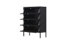 Picture of  [FLOOR MODEL CLEARANCE] STARK Steel Frame 4-Door Transparent Glass Shoe Cabinet (Black) 