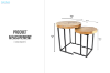 Picture of NATURA Solid Mungur Wood Nesting Coffee Table Set