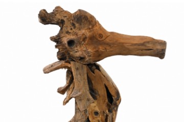 Picture of 659-003 Teak Wood Seahorse Sculpture (30x65cm)