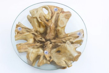 Picture of TAKARA D85 Tempered Glass Top Handcrafted Teak Root Coffee Table