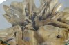 Picture of TAKARA D85 Tempered Glass Top Handcrafted Teak Root Coffee Table