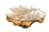 Picture of TAKARA D125 Tempered Glass Top Handcrafted Teak Root Coffee Table