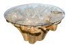 Picture of TAKARA D145 Tempered Glass Top Handcrafted Teak Root Dining Table