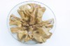 Picture of TAKARA D70/D85 Tempered Glass Top Handcrafted Teak Root Coffee Table