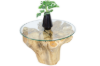 Picture of TAKARA D70/D85 Tempered Glass Top Handcrafted Teak Root Coffee Table