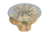 Picture of TAKARA D70/D85 Tempered Glass Top Handcrafted Teak Root Coffee Table
