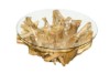 Picture of TAKARA D90/D105 Tempered Glass Top Handcrafted Teak Root Coffee Table