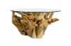 Picture of TAKARA D90/D105 Tempered Glass Top Handcrafted Teak Root Coffee Table
