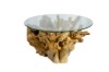 Picture of TAKARA D90/D105 Tempered Glass Top Handcrafted Teak Root Coffee Table