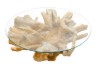 Picture of TAKARA D110/D125 Tempered Glass Top Handcrafted Teak Root Coffee Table