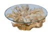 Picture of TAKARA D110/D125 Tempered Glass Top Handcrafted Teak Root Coffee Table