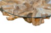 Picture of TAKARA D110/D125 Tempered Glass Top Handcrafted Teak Root Coffee Table