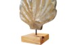 Picture of 650-041 Shell Solid Teak Wood Decorative Sculpture (40cmx50cm)
