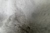 Picture of MELOR 230x160/300x200 Bubble Rug