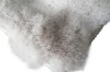 Picture of MELOR 230x160/300x200 Bubble Rug