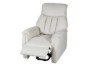 Picture of [FLOOR MODEL CLEARANCE] WILLETA Air Leather Power 1 Seater Sofa/Armchair/Sofa Lift Chair