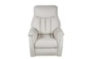 Picture of [FLOOR MODEL CLEARANCE] WILLETA Air Leather Power 1 Seater Sofa/Armchair/Sofa Lift Chair
