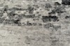 Picture of 398-018 ELEMENT Brilliant Rug (Grey Marble Print) - 300x240cm